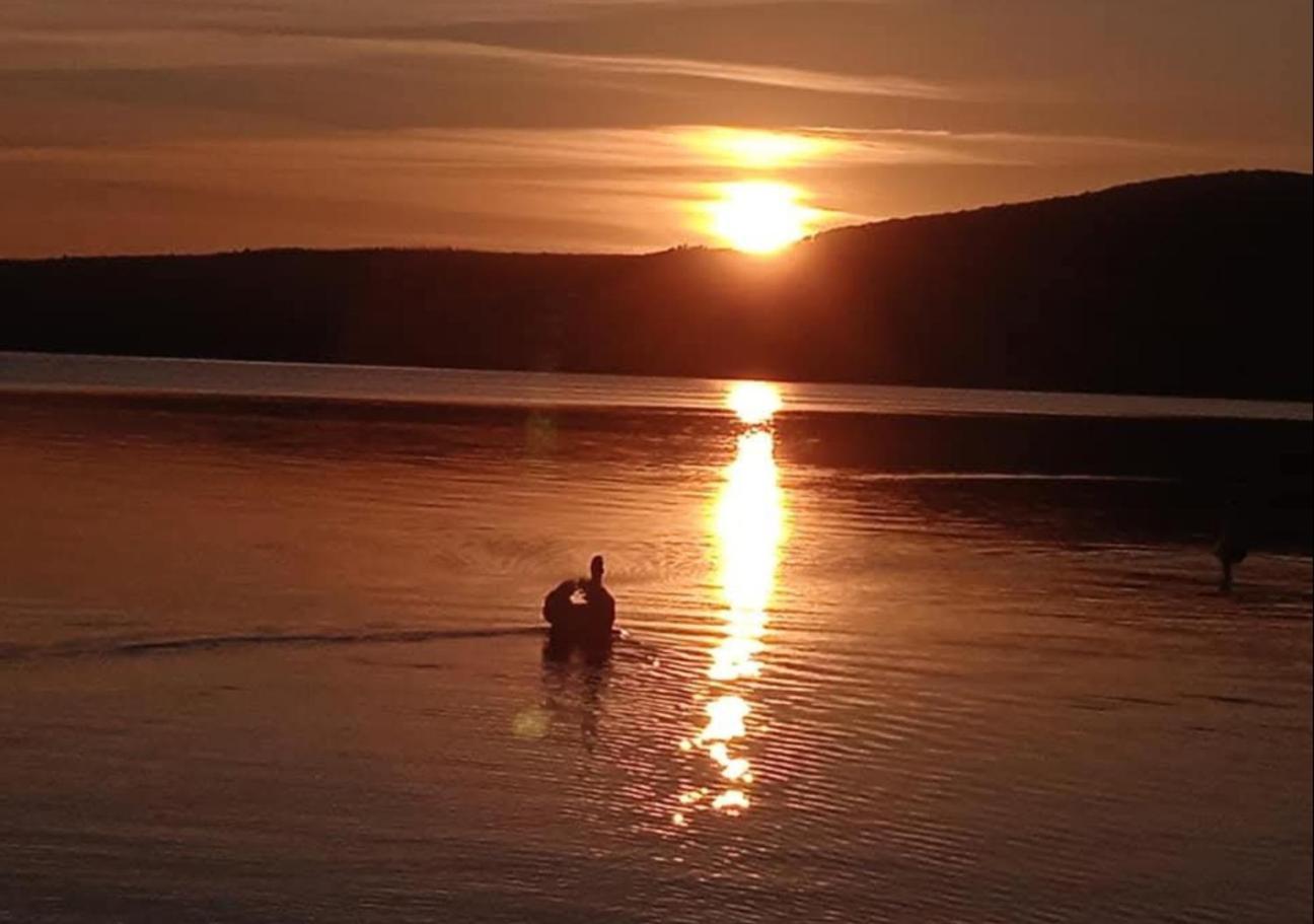 Dolce Lago Trevignano Romano Εξωτερικό φωτογραφία